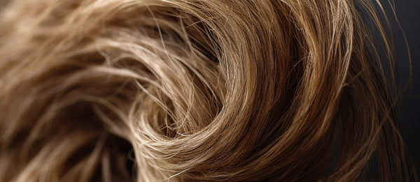 HOW TO TREAT DRY HAIR STYLISTS SALON BEST METHODS